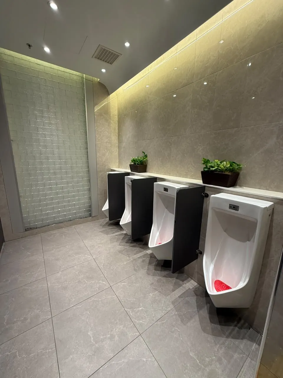 Completed urinal area with feature glass-block wall and planting in the upgraded mall toilet.